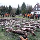 www.jagd-erlebnis.de