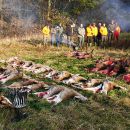 www.jagd-erlebnis.de