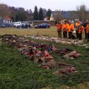 www.jagd-erlebnis.de