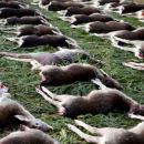 www.jagd-erlebnis.de
