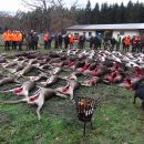 www.jagd-erlebnis.de