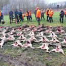 www.jagd-erlebnis.de