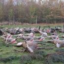 www.jagd-erlebnis.de