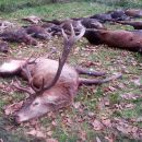 www.jagd-erlebnis.de