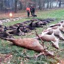 www.jagd-erlebnis.de