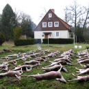 www.jagd-erlebnis.de