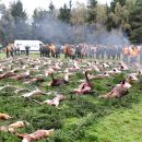 www.jagd-erlebnis.de