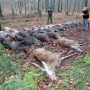 www.jagd-erlebnis.de