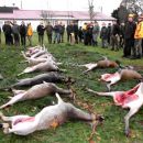 www.jagd-erlebnis.de