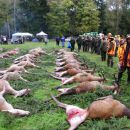 www.jagd-erlebnis.de