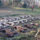 Jagd-Erlebnis 2019 (6).jpg