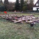 Jagd-Erlebnis 2018