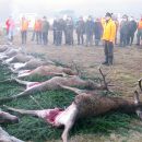 www.jagd-erlebnis.de